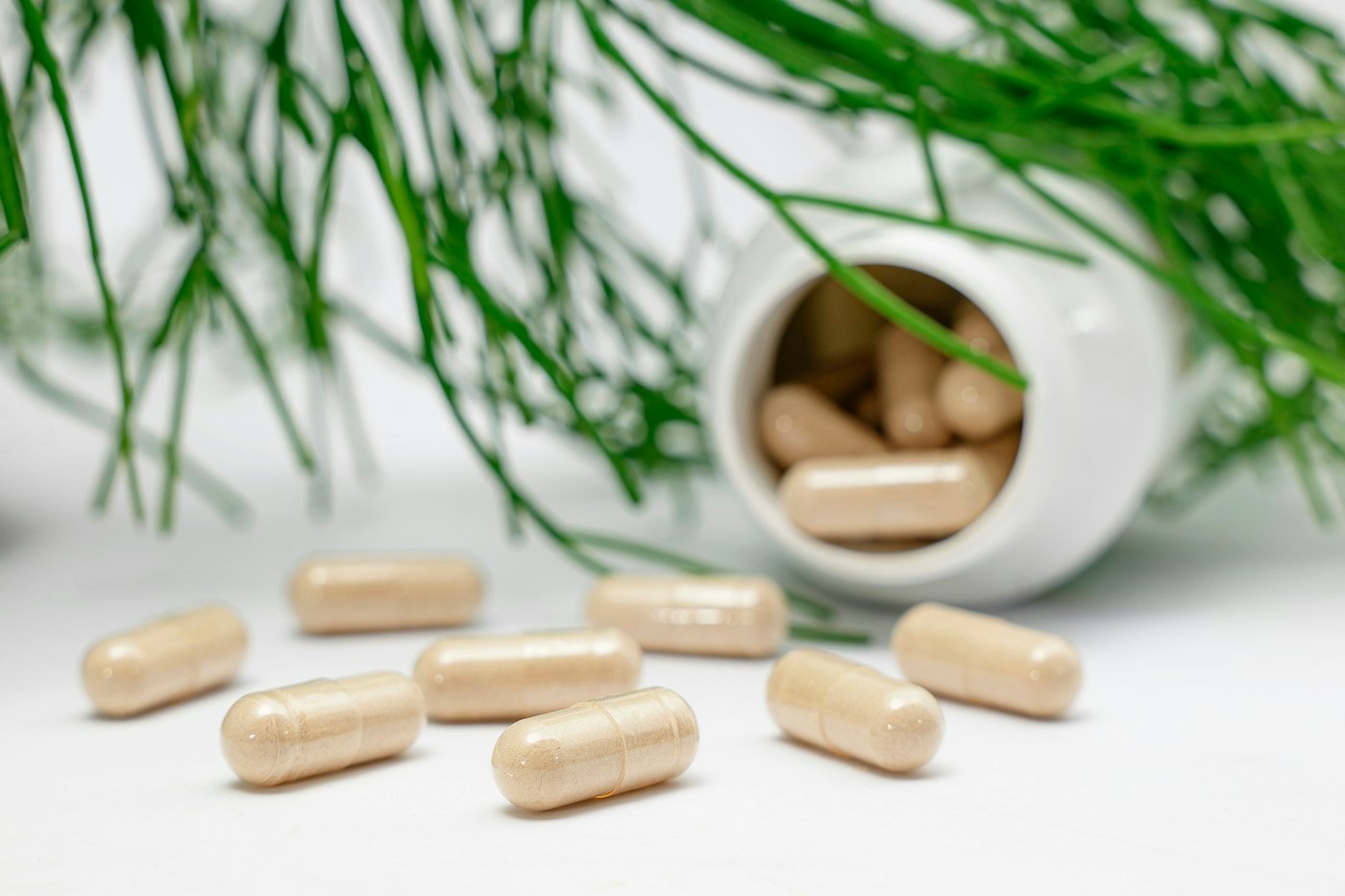 Best Creatine Supplements Ranked (2026) — Only Monohydrate Actually Works